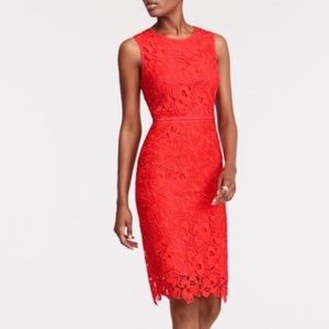 Ann Taylor Red Lace Dress